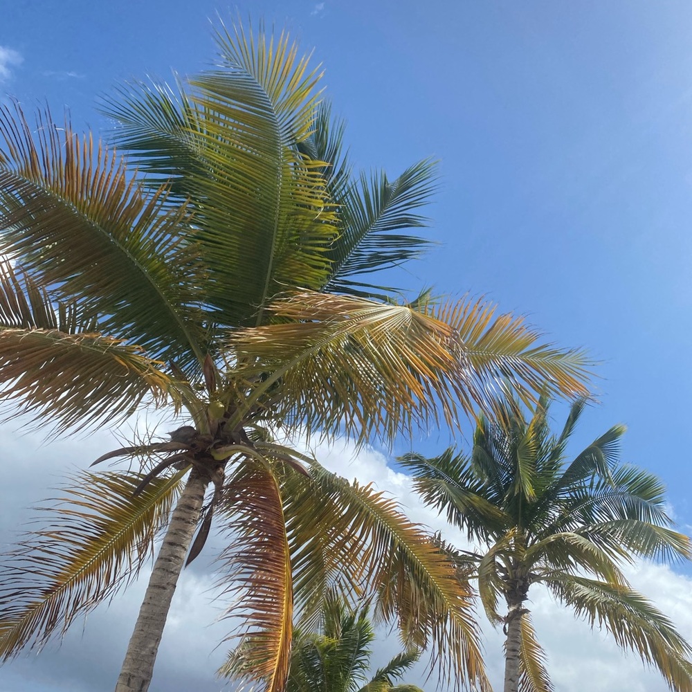 Meet your Posher, Gena